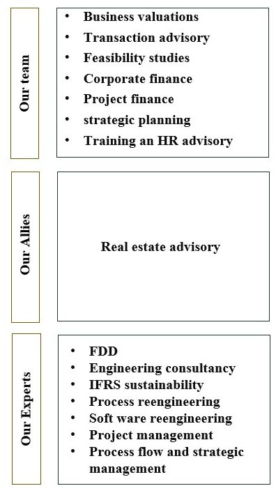 FinVision Services