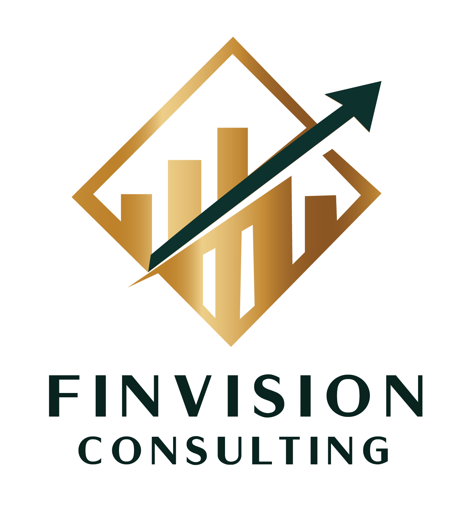 FinVision Logo